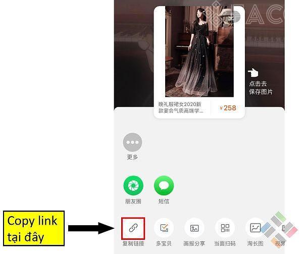 Copy link tại đây