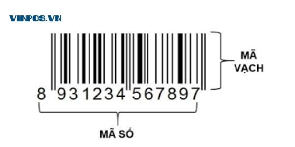 Mã Vạch Việt Nam Tầm Quan Trọng và Ứng Dụng Trong Thương Mại