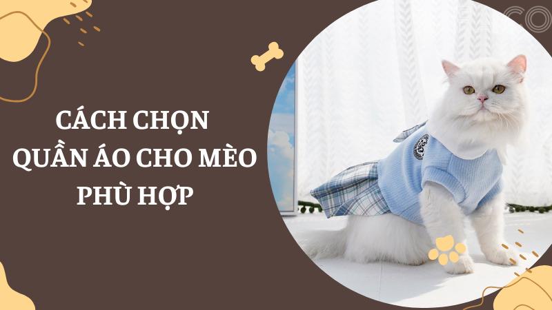 Cách chọn quần áo cho mèo phù hợp