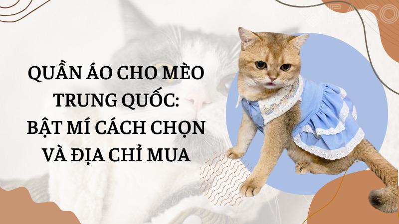 Quần áo cho mèo Trung Quốc: Bật mí cách chọn và địa chỉ mua