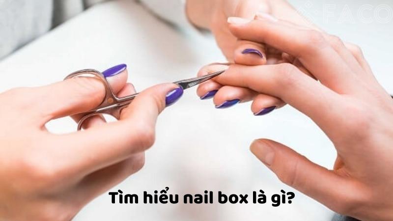 Tìm hiểu nail box là gì?