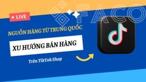 Nguồn hàng từ Trung Quốc và xu hướng bán hàng trên TikTok Shop
