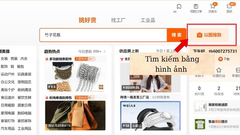 Tìm lót chuột Trung Quốc bằng hình ảnh 