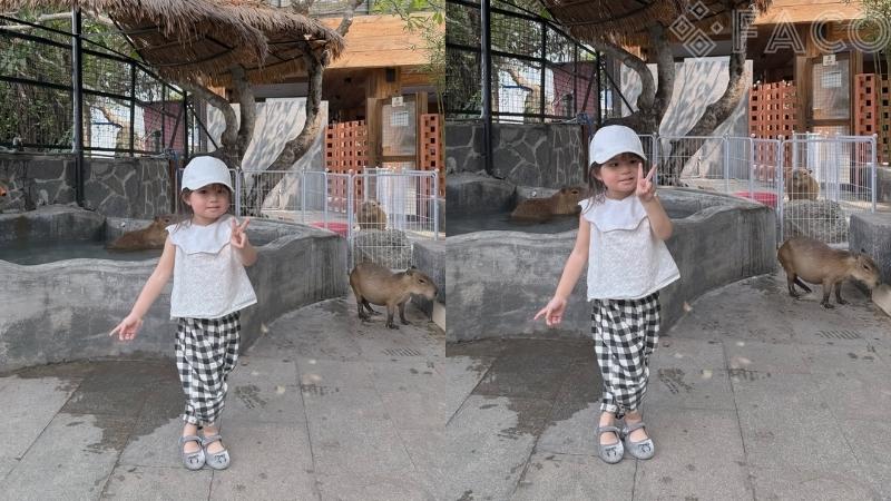 Áo trắng cổ bèo phối cùng quần kẻ caro 