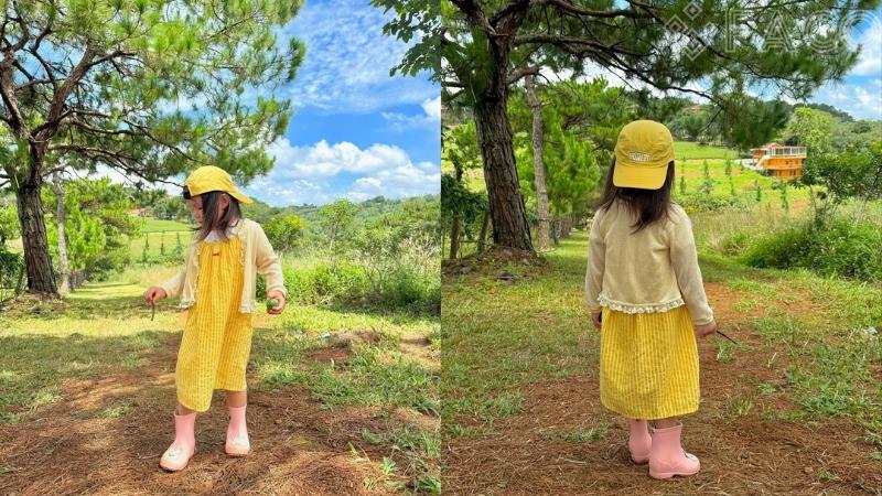 Váy yếm kẻ caro vàng 