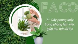 7+ Cây phong thủy trong phòng làm việc giúp thu hút tài lộc