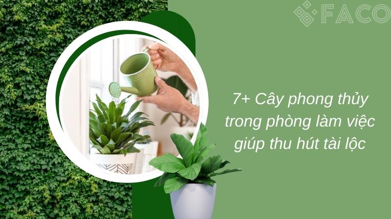7+ Cây phong thủy trong phòng làm việc giúp thu hút tài lộc