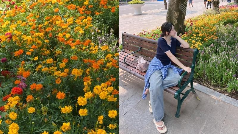 Trên mạng ngập tràn hình ảnh mùa thu Hà Nội