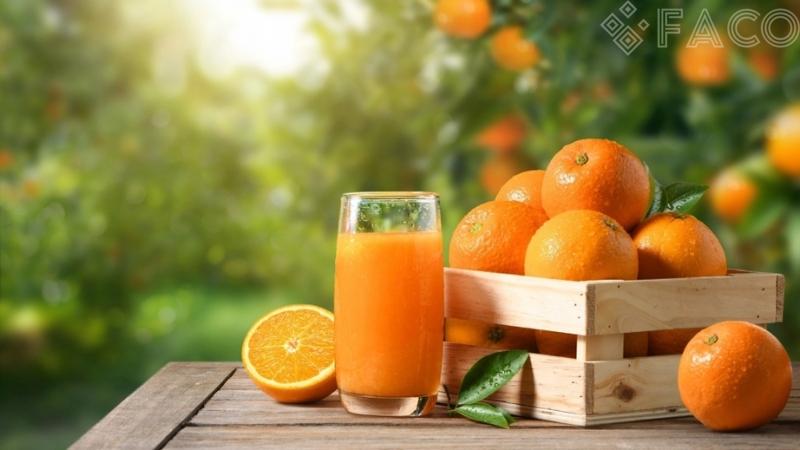 Những thành phần dinh dưỡng có trong nước cam 