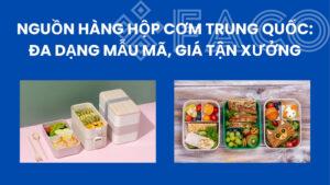 Nguồn hàng hộp cơm Trung Quốc: Đa dạng mẫu mã, giá tận xưởng